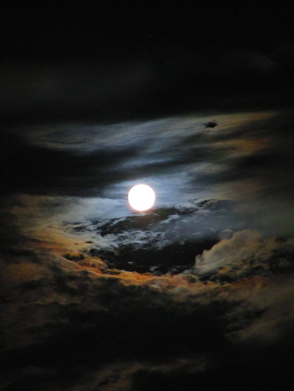 Semana tres. Verano.