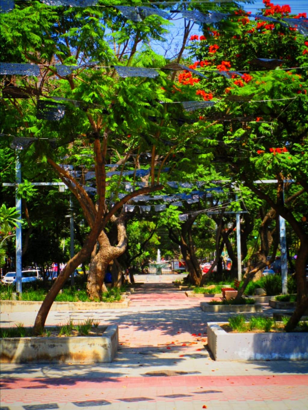 Algunas fotografías. 5 de&nbsp;octubre.