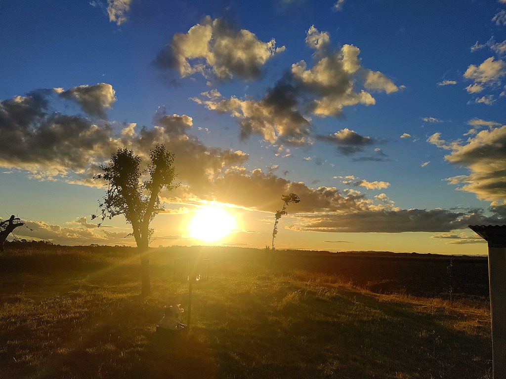 ¡¡FELIZ, FELIZ AÑO!!